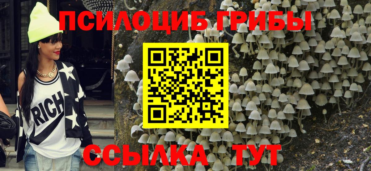 Галлюциногенные грибы прущие грибы Уссурийск